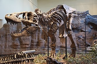 T. Rex - T. Rex
